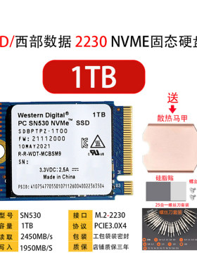 WDKST2230PCIENVME固态硬盘