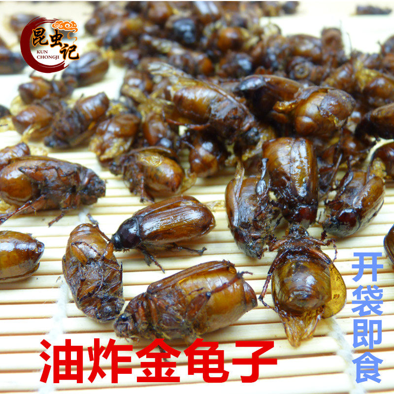 油炸棕色金龟子美味昆虫记宴黄亮红孩胖孩开袋即食炸虫子高蛋白