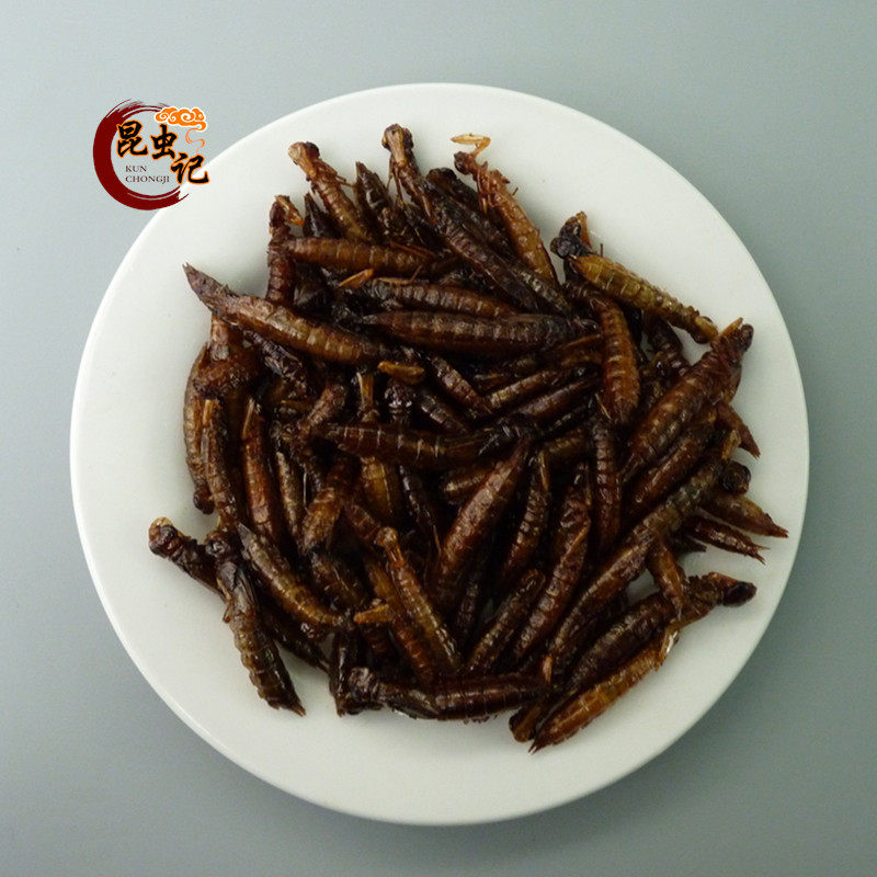 幼虫虫子 水蜻蜓 水蝎子 新鲜昆虫美食水产 50克