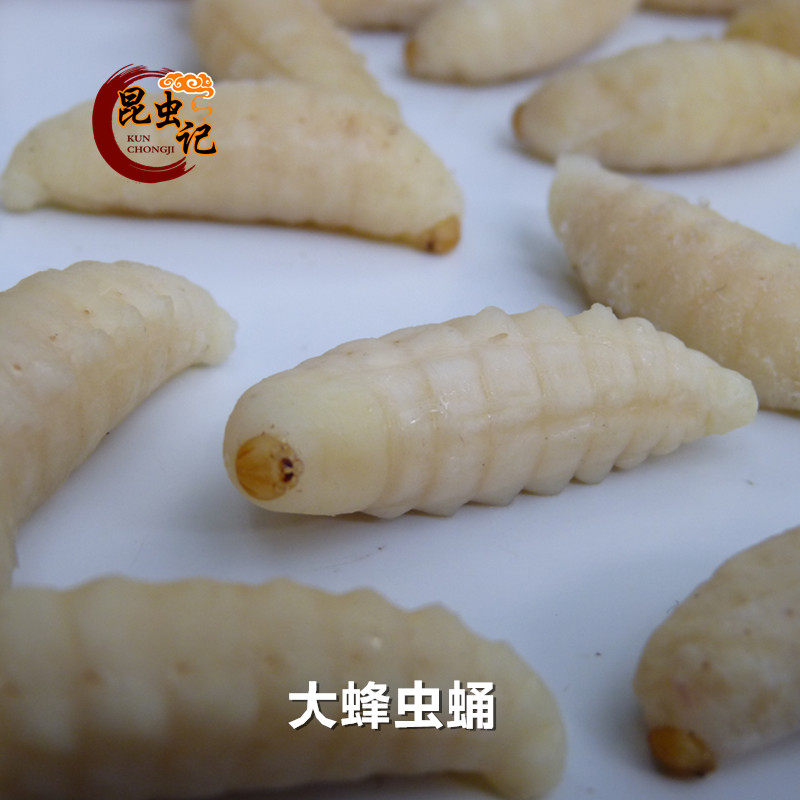 新鲜蜂蛹大马蜂蛹 一级蜂虫蛹 营养昆虫美食 昆虫记
