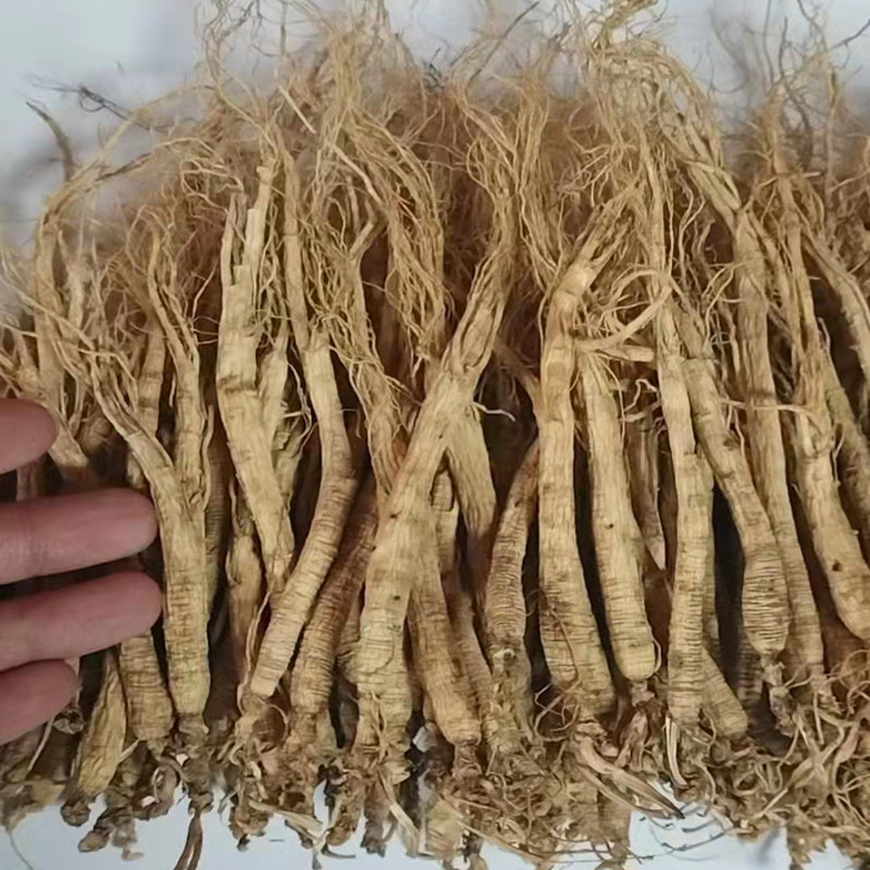 老白干人参生晒参长白山林下野生山参泡茶煲汤泡酒火锅产地白参