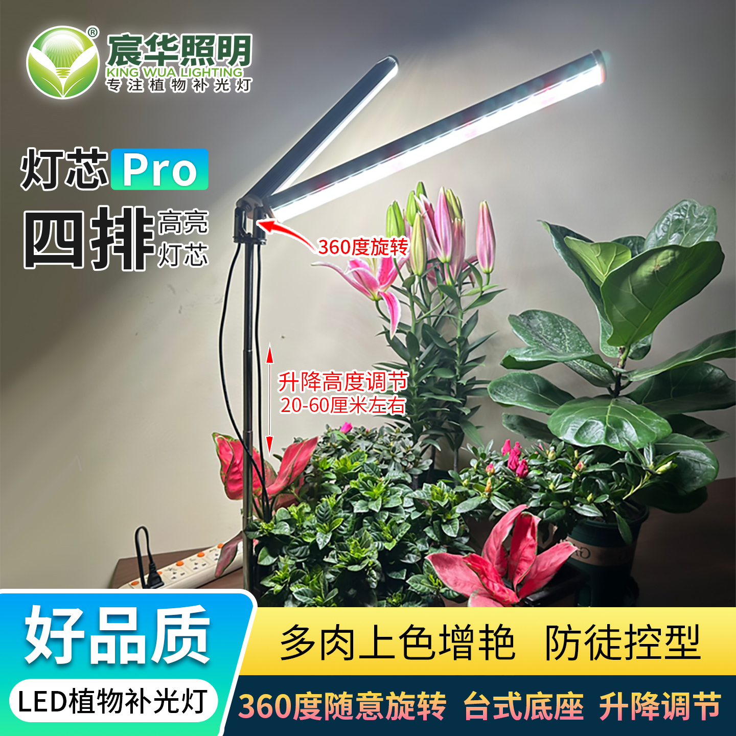 潮流精品,品质保证