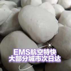 玉林肉蛋 莫记玉林肉丸500g猪肉丸手打肉蛋特色小吃Q弹爽口特惠