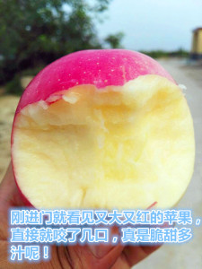 陕西白水苹果特产新鲜水果苹果红富士75#农特产包邮