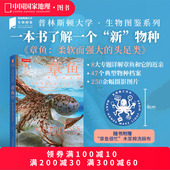 中国国家地理图书 普林斯顿大学生物图鉴系列图书 头足类 近亲柔软而强大 海洋生物科普读物图鉴 章鱼和它