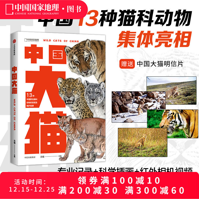 中国大猫猫图鉴猫百科全书科普