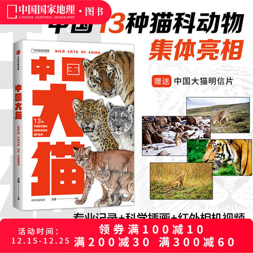 中国大猫猫图鉴猫百科全书科普