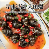 香辣大田螺400克盒装 超大号即食宵夜吃播过瘾追剧解馋商用下酒菜