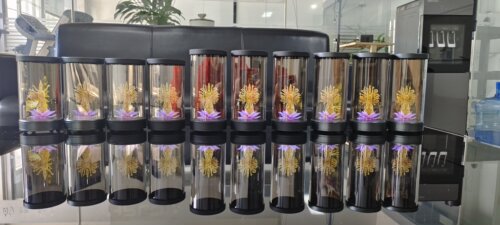 圆柱形全息展示柜广告屏液晶屏数字人全息广告机3D成像全息成像