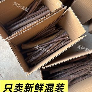 年底冲量!苹果枝兔子磨牙棒仓鼠专用可食零食用豚鼠龙猫新鲜细的
