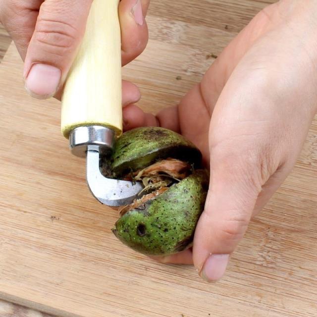 刀开剥核桃去皮器工具