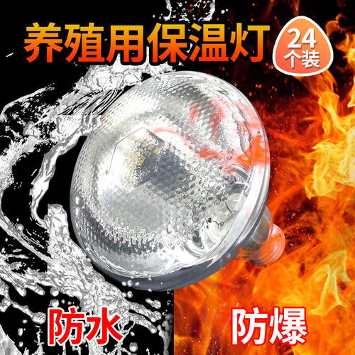 保温灯养殖场猪用取暖灯泡
