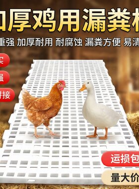 鸡用漏粪板鸡鸭鹅漏屎鸡粪养鸡用漏粪网地板家禽兔子鸡舍塑料脚垫