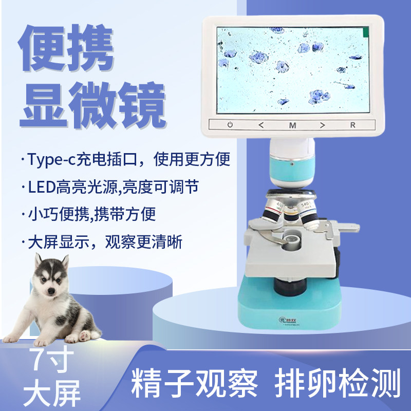 倍特双便携显微镜狗狗兽用犬用电子卵泡检测仪测排卵牛精子监测仪