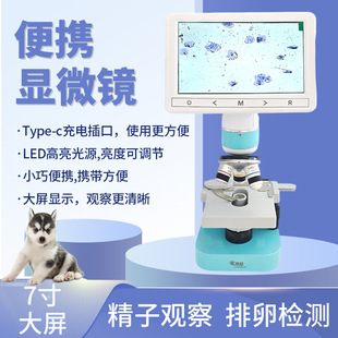 倍特双便携显微镜狗狗兽用犬用电子卵泡检测仪测排卵牛精子监测仪