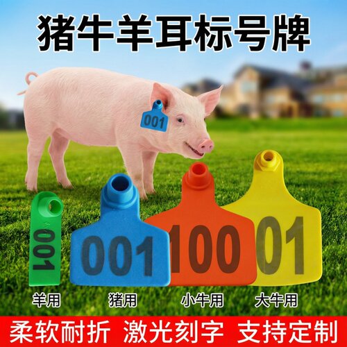 耳标号牌母猪用兽用防疫耳牌
