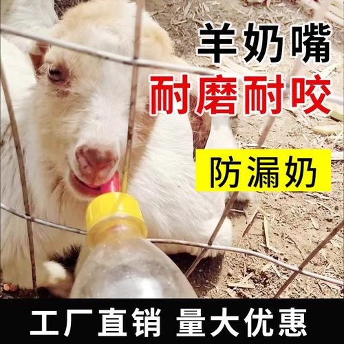兽用奶嘴小动物羊羔奶瓶