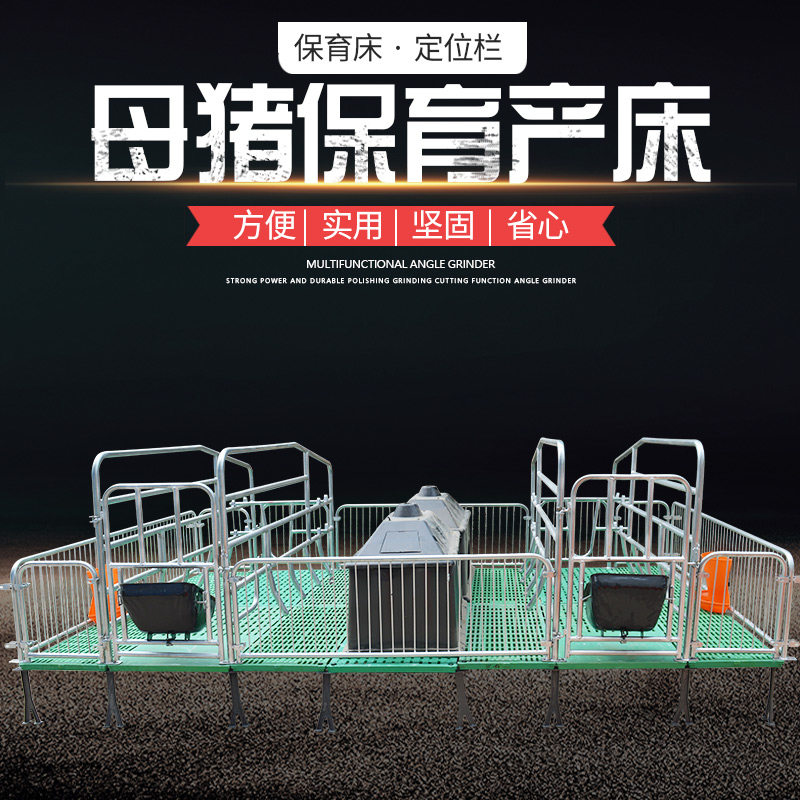 体母产猪床保育两用落地式单产保一产床复合板双体猪分体床设娩备