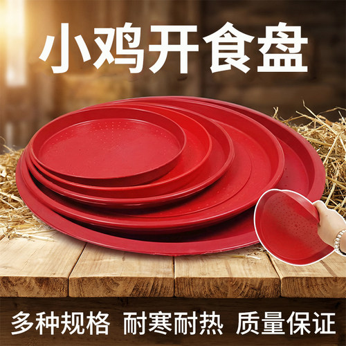 小鸡开食盘加厚吃食盘雏鸡
