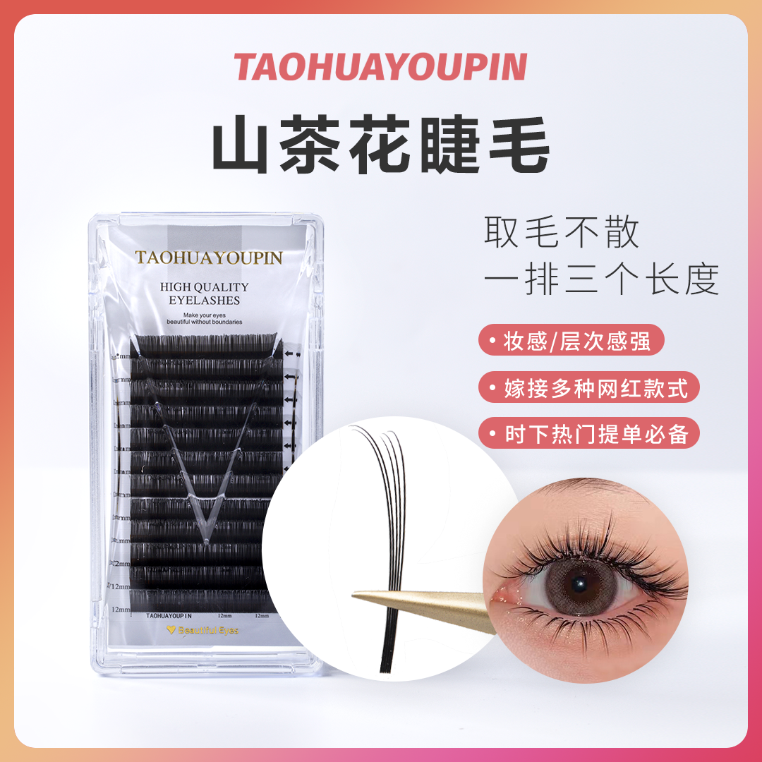 TAOHUAYOUPIN山茶花圆毛不散根