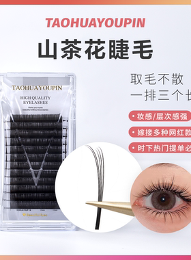 TAOHUAYOUPIN山茶花圆毛不散根