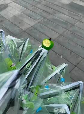 青苹果猫咪透明雨伞可折叠卡通自动伞外出小巧便携伞拍照出片道具