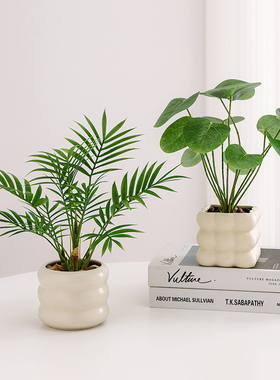 仿真植物北欧装饰小盆栽办公室客厅桌面室内盆景摆件仿生假花绿植