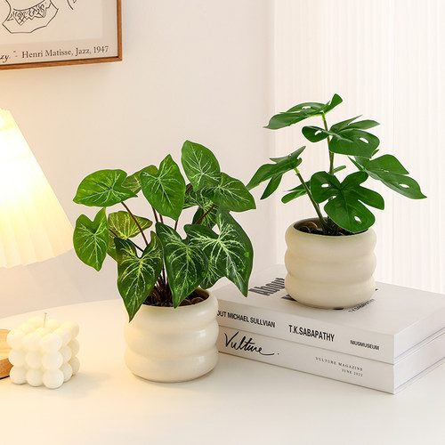 仿真植物桌面盆景绿植室内盆栽