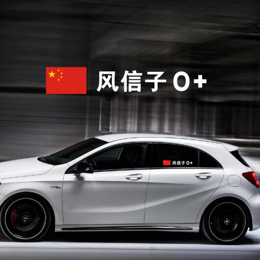 汽车体育赛事车贴车手国籍姓名血型防水改装个性美观文字贴纸