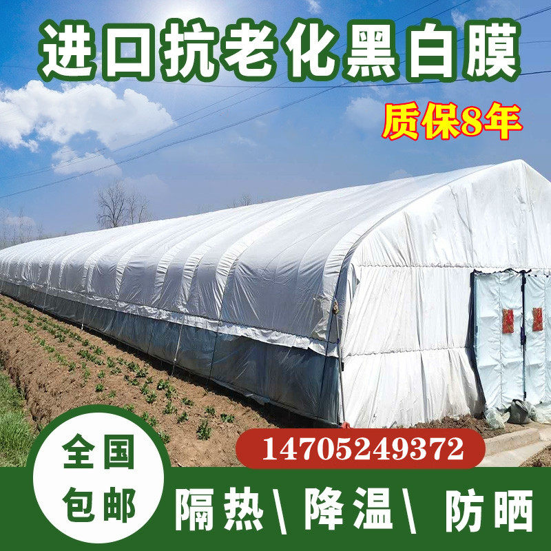 进口加厚抗老化黑白膜养殖大棚绿白塑料膜防晒隔热反光膜保温菌菇,农机/农具/农膜,农用薄膜,淘宝优惠券,粉丝福利购,淘宝优惠卷