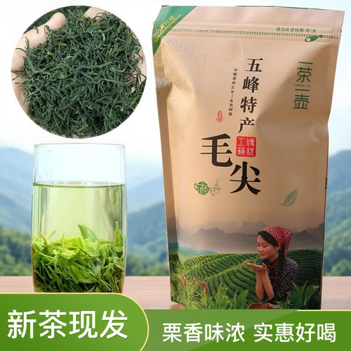 五峰特产毛尖绿茶新茶一斤