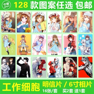 工作细胞明信片动漫周边血小板白血球红细胞卡片照片相片壁纸海报