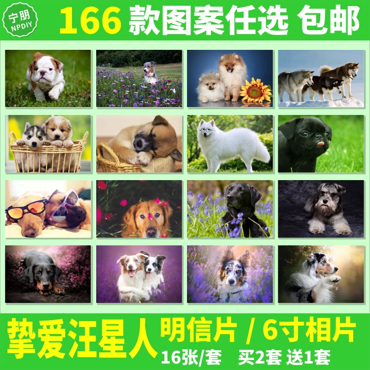 汪星人墙贴壁纸明信片