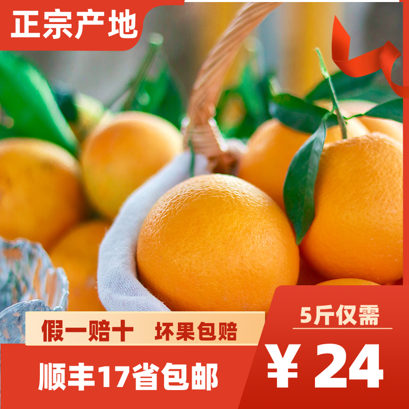 正宗江西赣南脐橙产地直发现摘应季水果新鲜顺丰包邮橙子水果