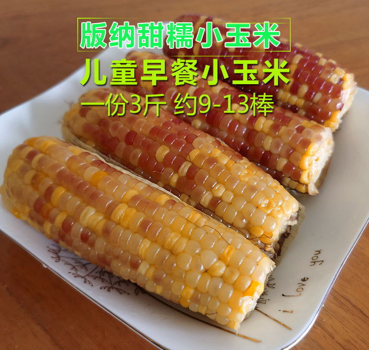 西双版纳香糯小玉米新鲜真空即食早餐云南黏花糯玉米棒甜糯小包谷