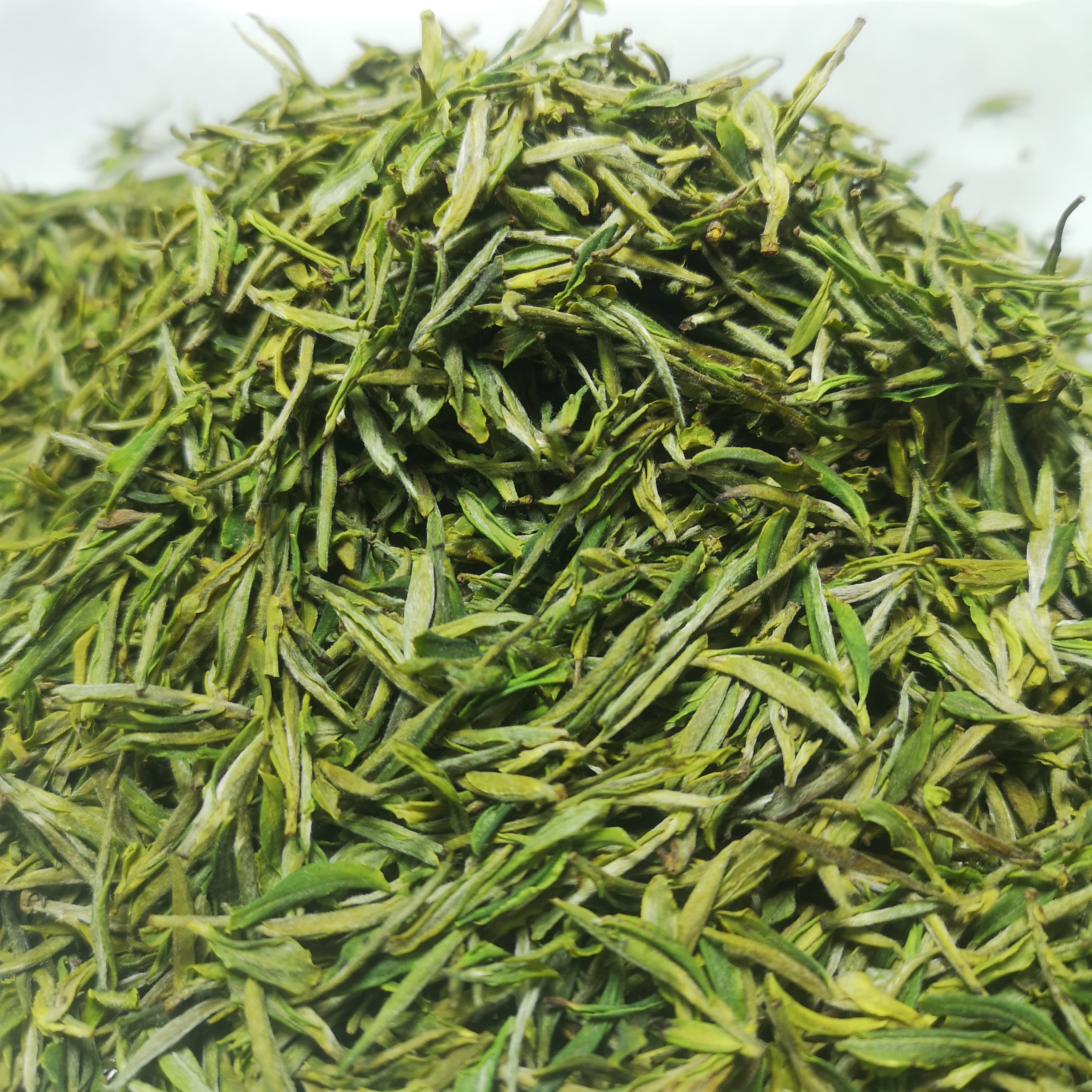 东白山茶叶高山云雾绿茶荒山茶包装方式为通用包装袋。