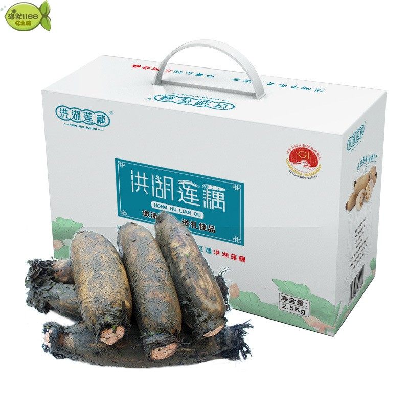 湖北洪湖特产莲藕新鲜现挖粉藕礼盒装泡藕袋装清炒火锅烧烤涮菜,水产肉类/新鲜蔬果/熟食,新鲜莲蓬,淘宝优惠券,粉丝福利购,淘宝优惠卷