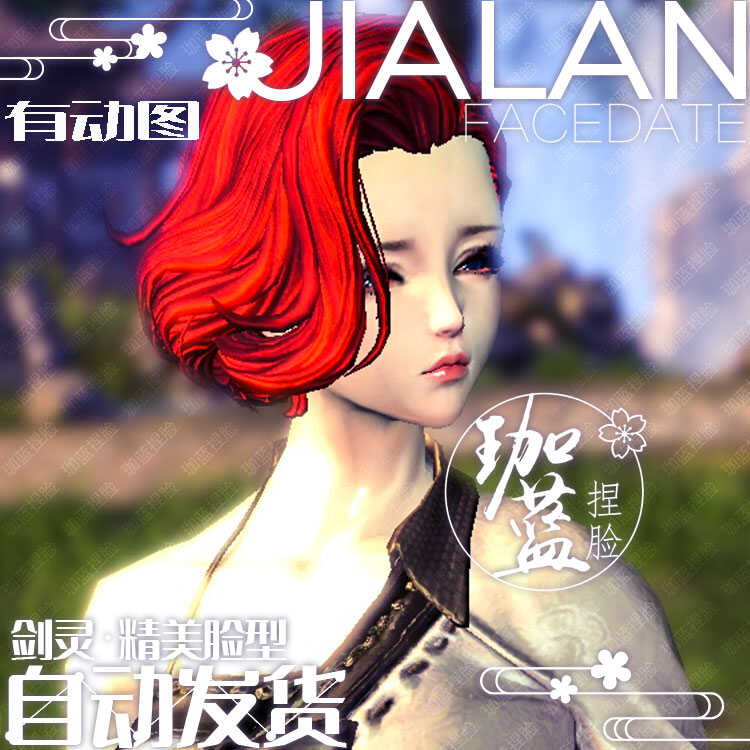 【珈蓝】剑灵捏脸 天女脸型数据 国服韩服国际服BNS私服可用 蓝紫