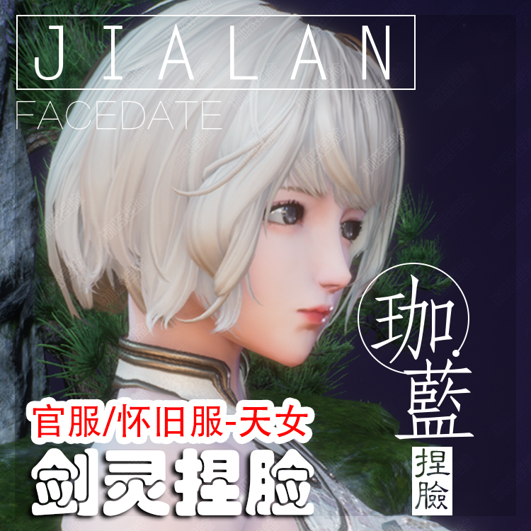 【珈蓝】剑灵捏脸 天女脸型数据 国服韩服国际服BNS私服可用 心怡