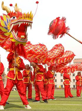 舞龙道具舞龙烫金龙优质密度绸布龙钢丝龙龙眼舞龙舞狮全套服装鞋