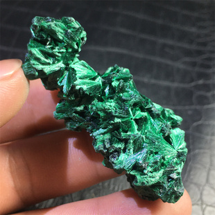 优选纯天然针状羽毛硅孔雀石原石原矿标本小摆件矿物晶体科普教学