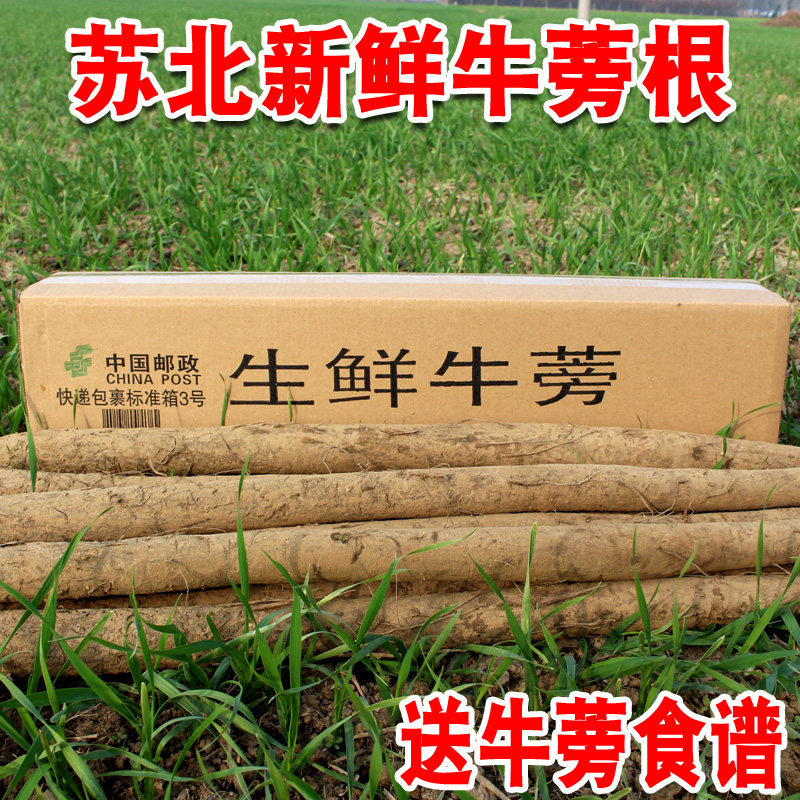 新鲜黄皮牛蒡根正品黑皮牛蒡旁磅榜农家自种蔬菜榨汁炒菜炖菜煲汤