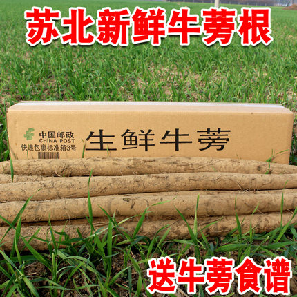 新鲜黄皮牛蒡根正品黑皮牛蒡旁磅榜农家自种蔬菜榨汁炒菜炖菜煲汤