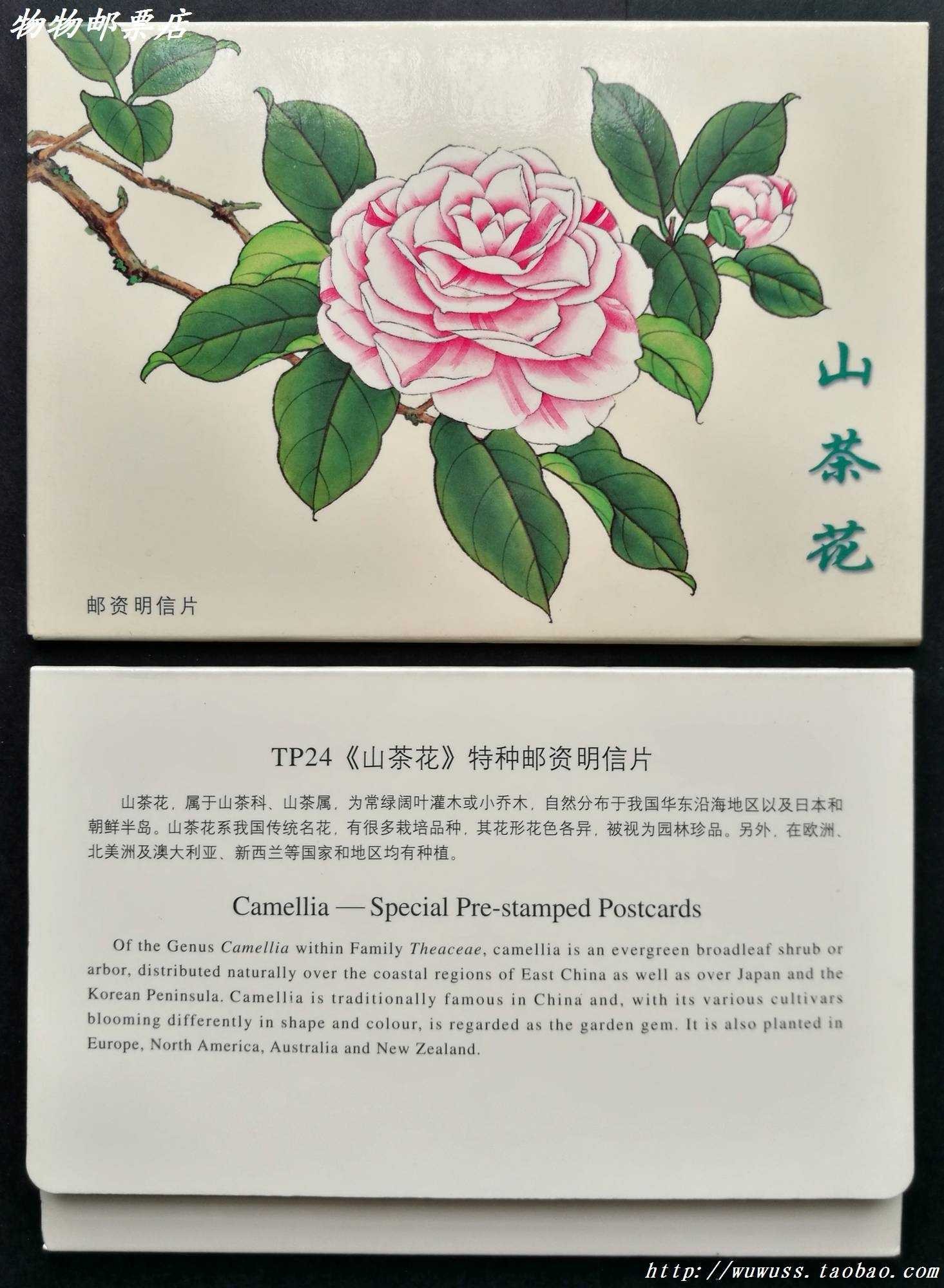 tp24山茶花特种邮资明信片鸳鸯