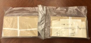 T151M铜车马小型张原封，双包胎，邮票 集邮 保真原胶全品