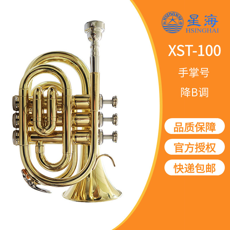 星海牌手掌号袖珍小号