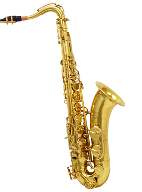 金音牌 JYTS-E100G 降B调 次中音萨克斯 漆金成人演出萨克斯风