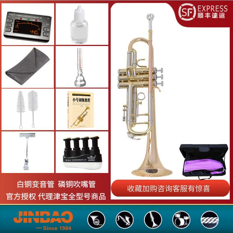 顺丰津宝小号专业演奏