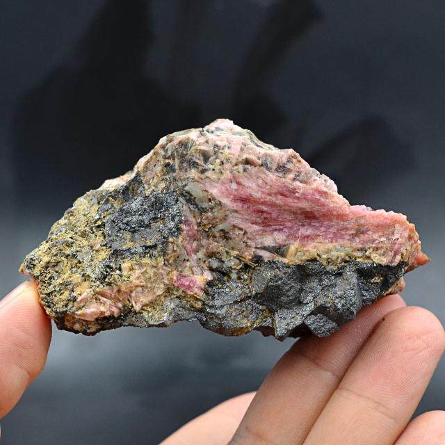 蔷薇辉石  天然矿物晶体矿石教学 标本 原石宝石摆件石头21