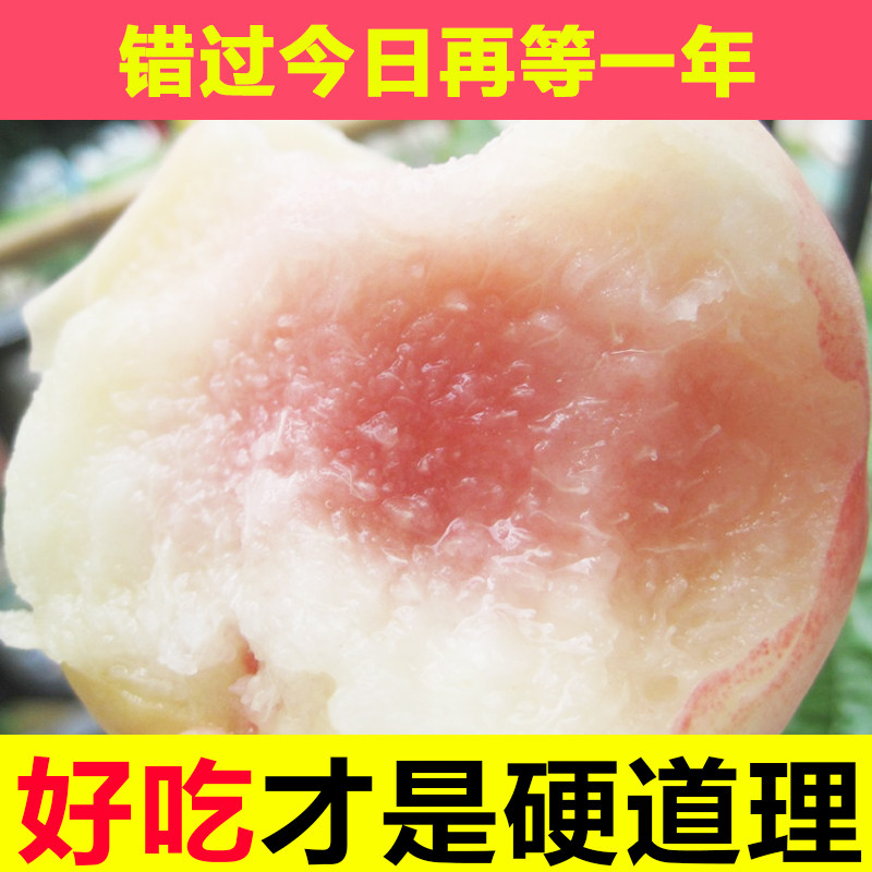 肥城桃桃子新鲜水蜜桃水果整箱应季软甜大桃佛桃当季现摘山东肥桃